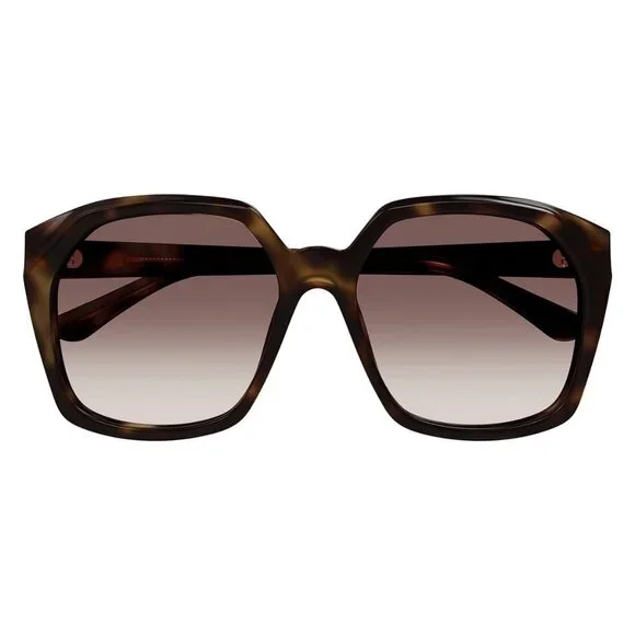 New CHLOE Havana Square CH0280S 006 Sunglasses Women - Picture 2 of 4